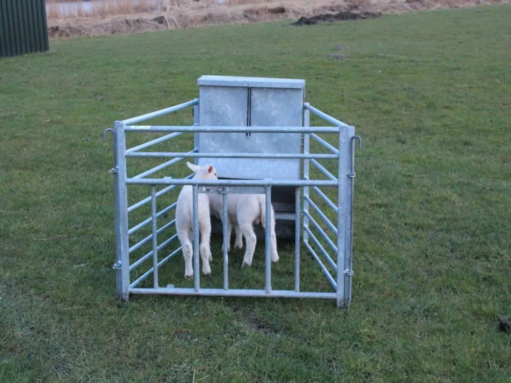 Continuvoederset 70 kg voor schapen, compleet